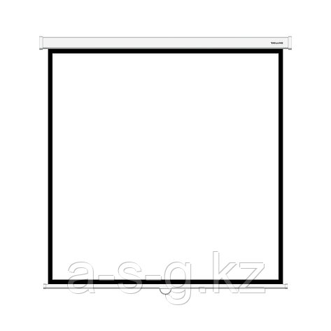 Экран Deluxe DLS-M305W (120"х120"), Ø - 170", Раб. поверхность 297х297 см., 1:1, фото 1