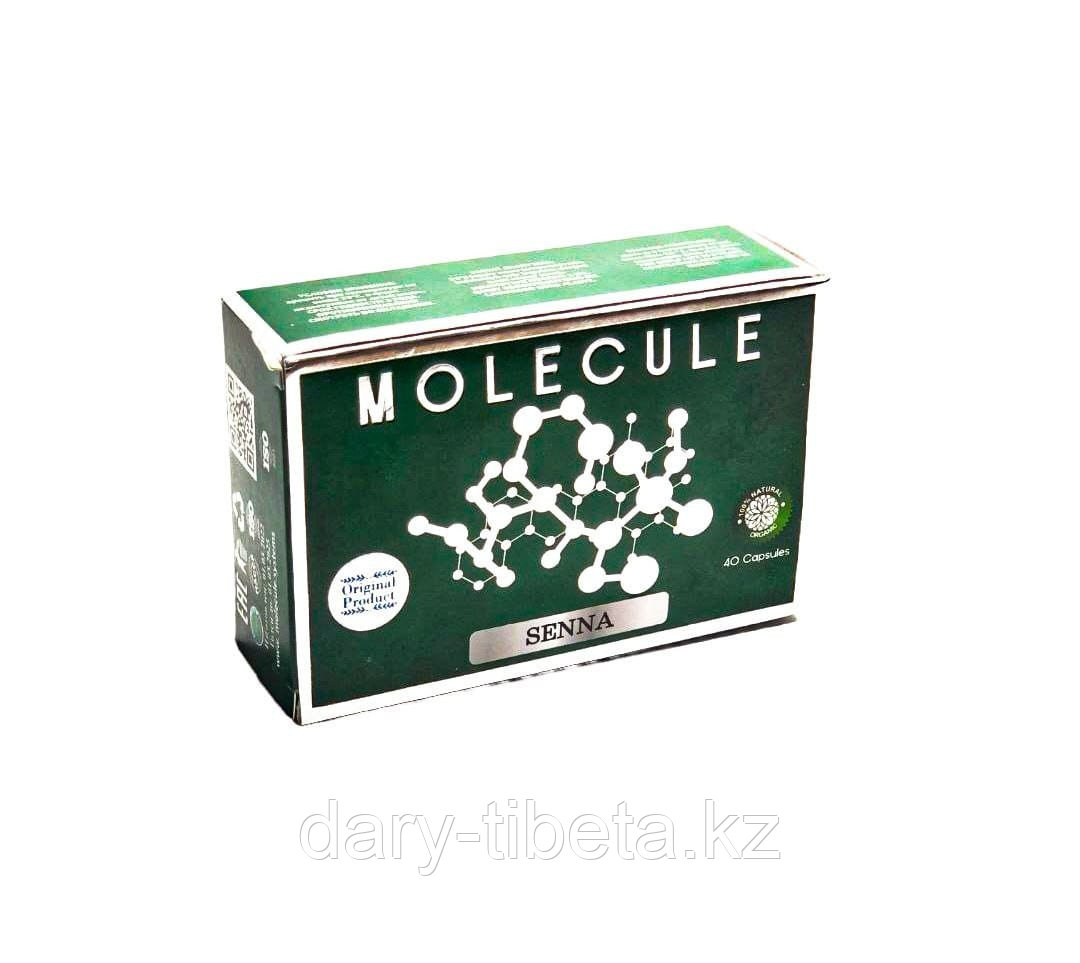 Molecule Senna ( Молекула ) картонная упаковка (40 капсул)