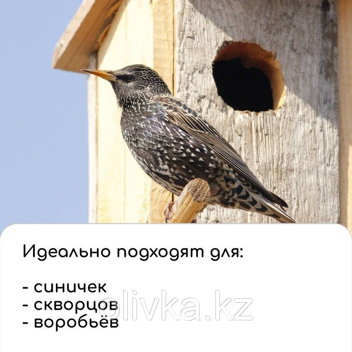 Скворечник, 20 × 25 × 39 см, с кормушкой для птиц - фото 7 - id-p105708169