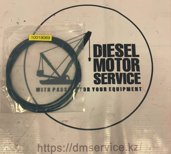 Уплотнительное кольцо Liebherr 10018069, фото 1