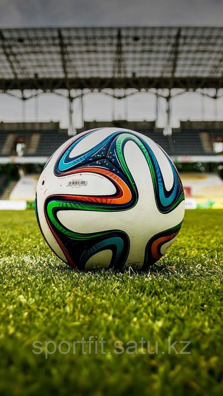 Футбольный Мяч Adidas Brazuca Чемпионата Мира в Бразилии 2014 - фото 10 - id-p112496520