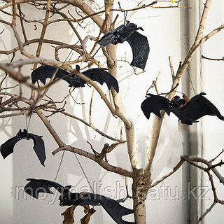 Резеңке жыныс мүшесі қынапты шәуетпен толтырды Резеңке жыныс мүшесі қынапты шәуетпен толтырды