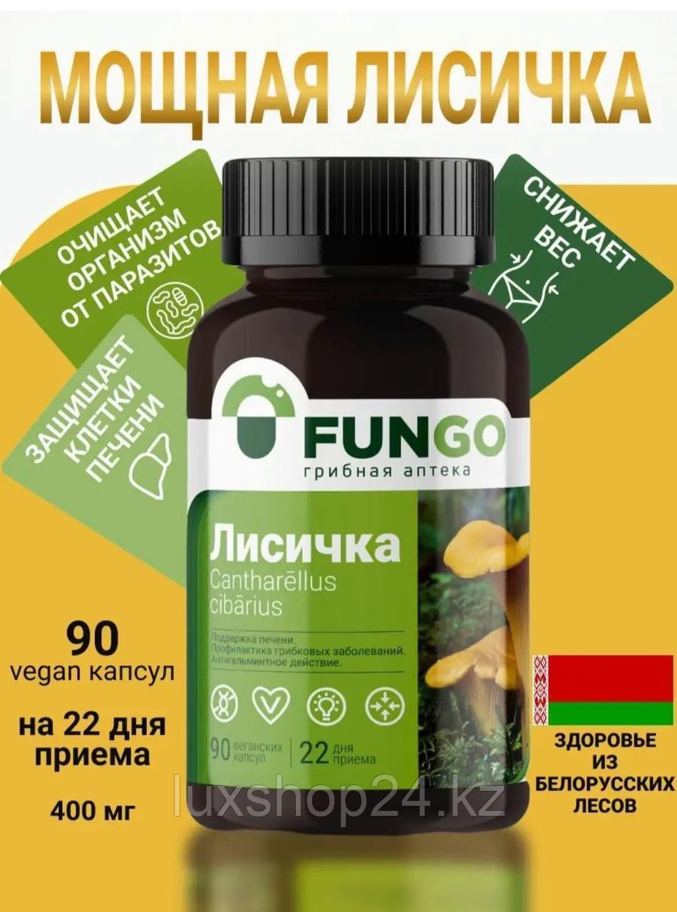 ЛИСИЧКИ БИО-ЧИСТКА