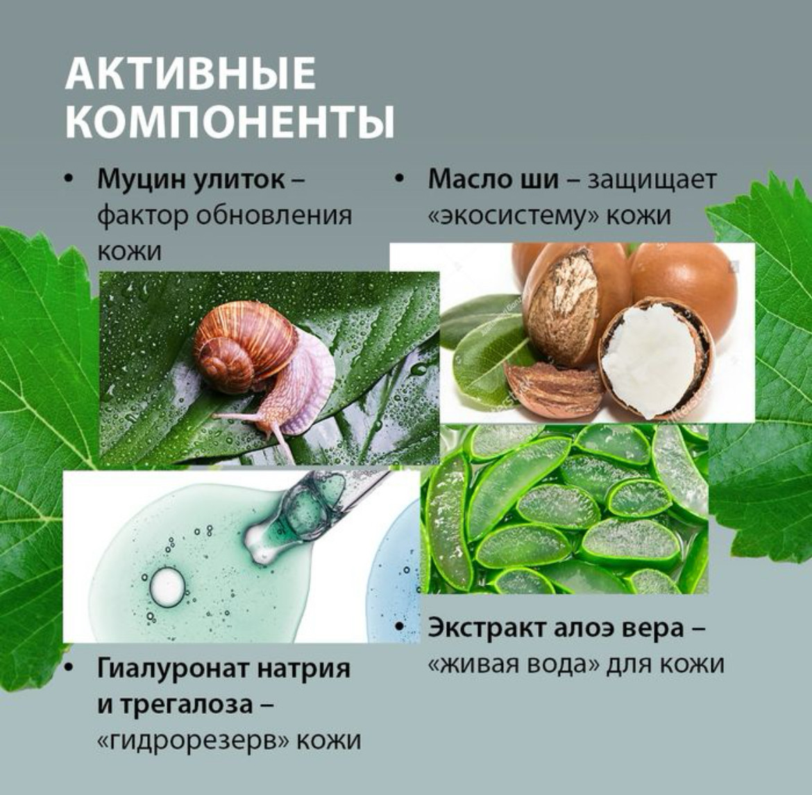 Многофункциональный крем для лица с муцином улитки Snail Secret - фото 5 - id-p112570358