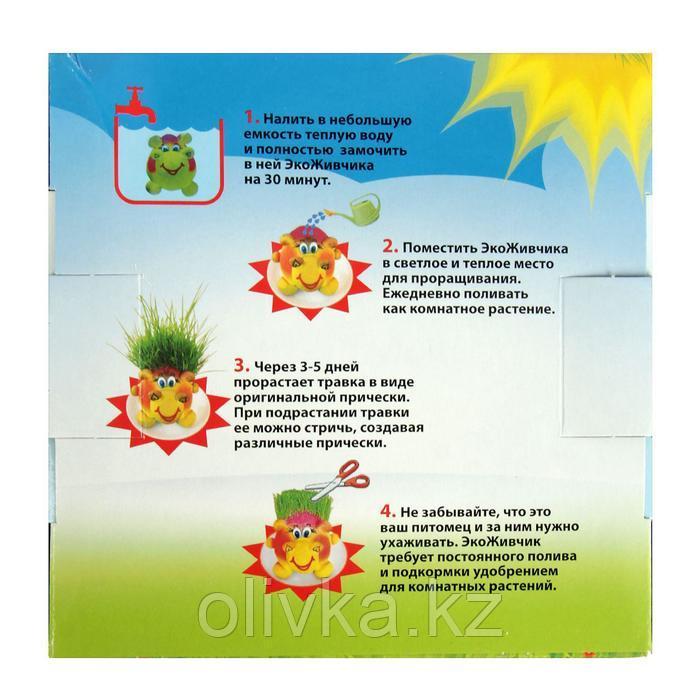 Растущий подарок травка Экоживчик "Колобок" в подарочной упаковке МИКС - фото 4 - id-p71403672