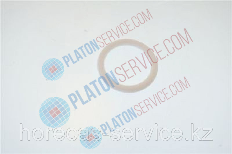 PTFE O-RING 23,4x3,53 FOR PADDLE - фото 1 - id-p112651451