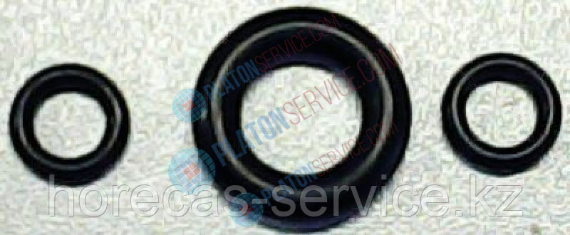 Кольцо уплотнительное круглого сечения для головки распылителя - фото 1 - id-p112649842