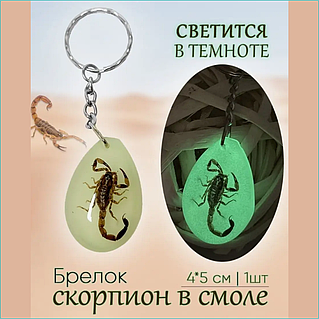 Қара адам ақ қыздың қынапшасына конча