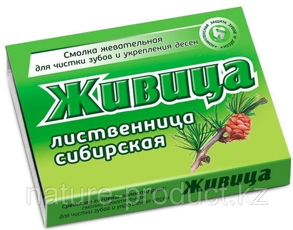 Смолка жевательная "Живица" (с мятой)