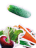 Пазлы Maxi «Овощи» 15 элементов, фото 4