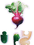 Пазлы Maxi «Овощи» 15 элементов, фото 7