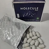 Molecule plus, фото 2