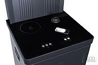 Тиабар Ecotronic TB35-LFR dark grey с холодильником, фото 9