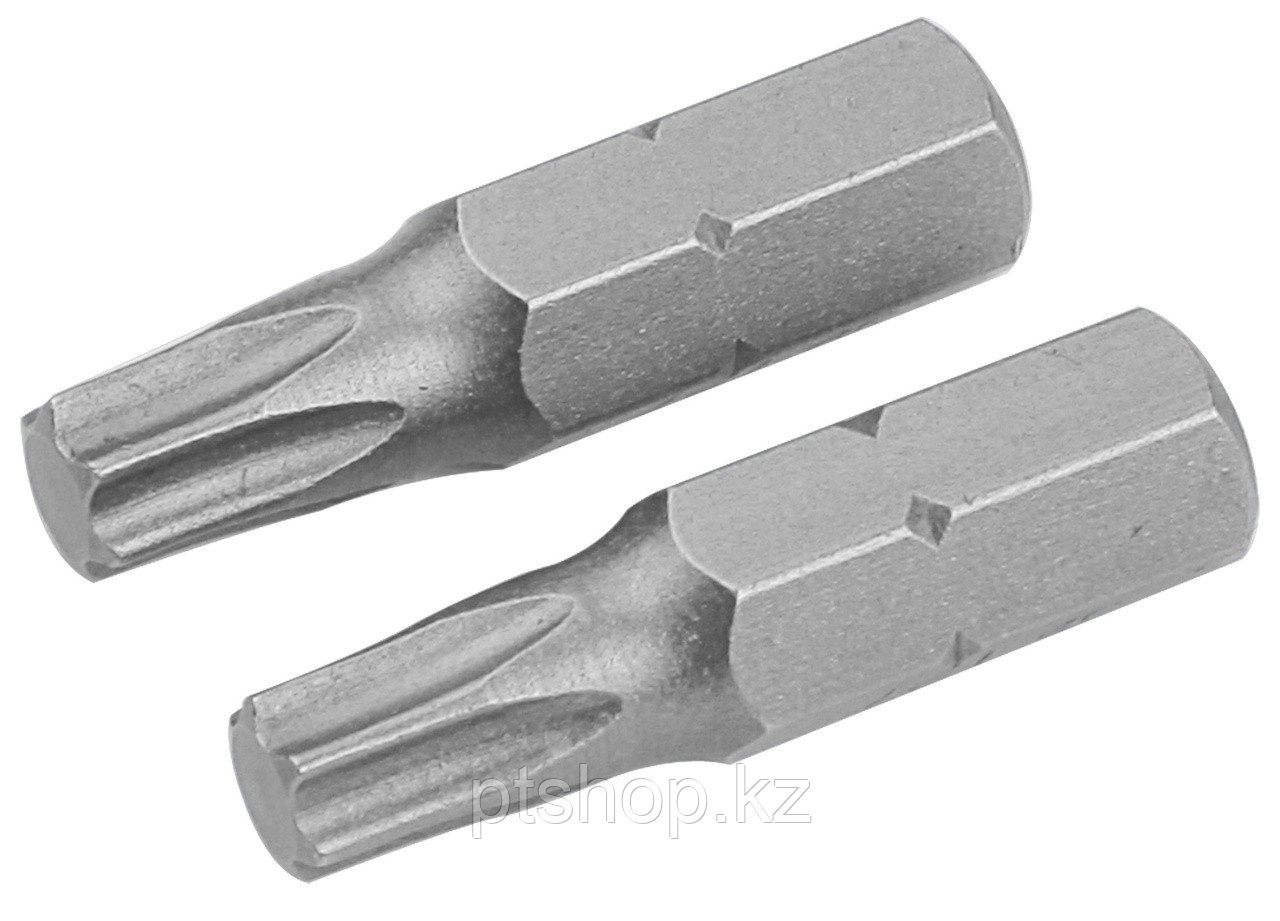 TOLSEN Набор вставок (бит) торцевых 1/4", Torx, T15, 25 мм, 2 предмета TOLSEN TT20222