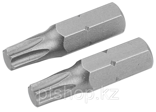 TOLSEN Набор вставок (бит) торцевых 1/4", Torx, T40, 25 мм, 2 предмета TOLSEN TT20227, фото 1
