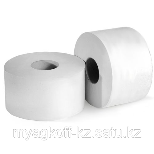 Туалетная бумага "Мягкоff Professional Premium" (А15), 12 шт/уп., 2 слоя, белая - фото 1 - id-p112694601