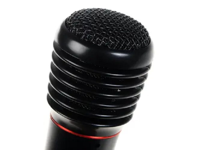 Микрофон Ritmix RWM-100 черный - фото 7 - id-p112718270