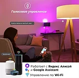 Лампочка WiFi RGB умная с таймером и голосовым управлением Алисой Tuya Smart Bulb (Е27 / 9W), фото 8