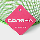Крышка-сетка для продуктов Доляна «Вкус», d=21 см, цвет МИКС, фото 4