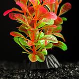 Растение искусственное аквариумное, 3 х 9 см, оранжево-зелёное, фото 2
