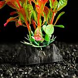 Растение искусственное аквариумное, 4 х 30 см, красно-зелёное, фото 3