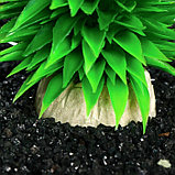 Растение искусственное аквариумное, 30 см, фото 2