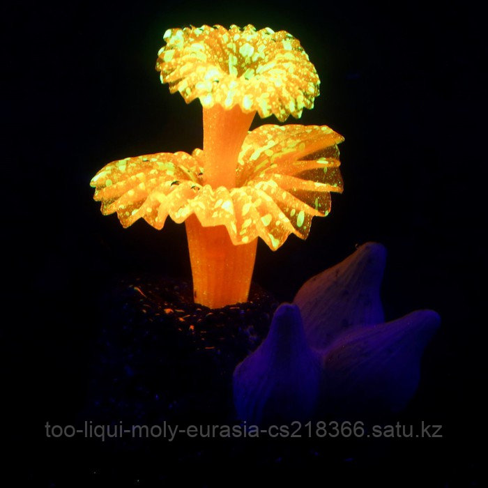 Декор для аквариума "Коралл на платформе" силиконовый, 6 х 4 х 7 см, оранжевый - фото 1 - id-p112724840