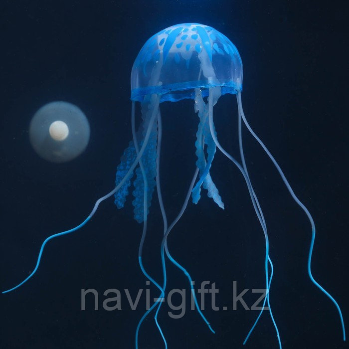 Декор для аквариума "Медуза" силиконовая, с неоновым эффектом, 5 х 5 х 15 см, синяя - фото 4 - id-p112724843