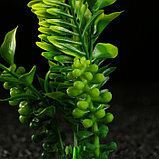 Растение искусственное аквариумное, 18 х 9 х 14 см, зелёное, фото 2