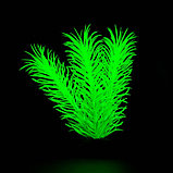 Растение искусственное аквариумное, светящееся, 8 см, зелёное, фото 2
