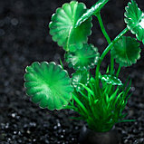 Растение искусственное аквариумное, 10 см, зелёное, фото 2