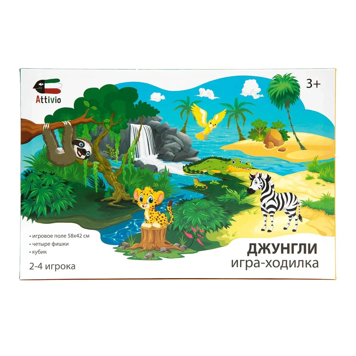 Настольная игра: Джунгли | Attivio