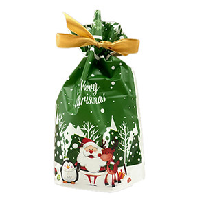 Новогодний пакет Merry Christmas зеленый 10ШТ, 15х23см - фото 1 - id-p112734009