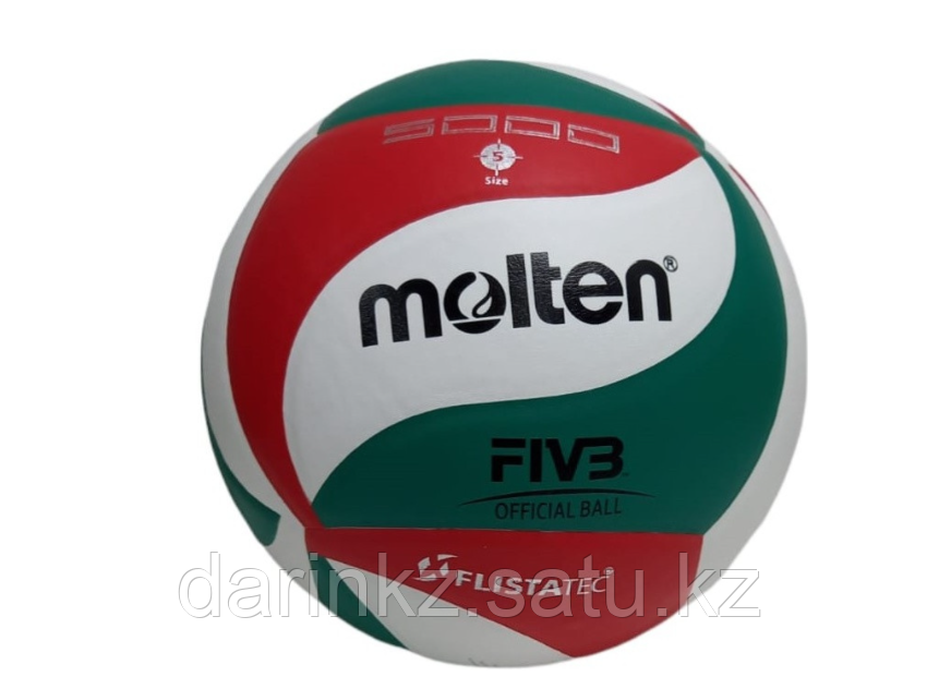 Мяч волейбольный Molten - фото 1 - id-p112735386