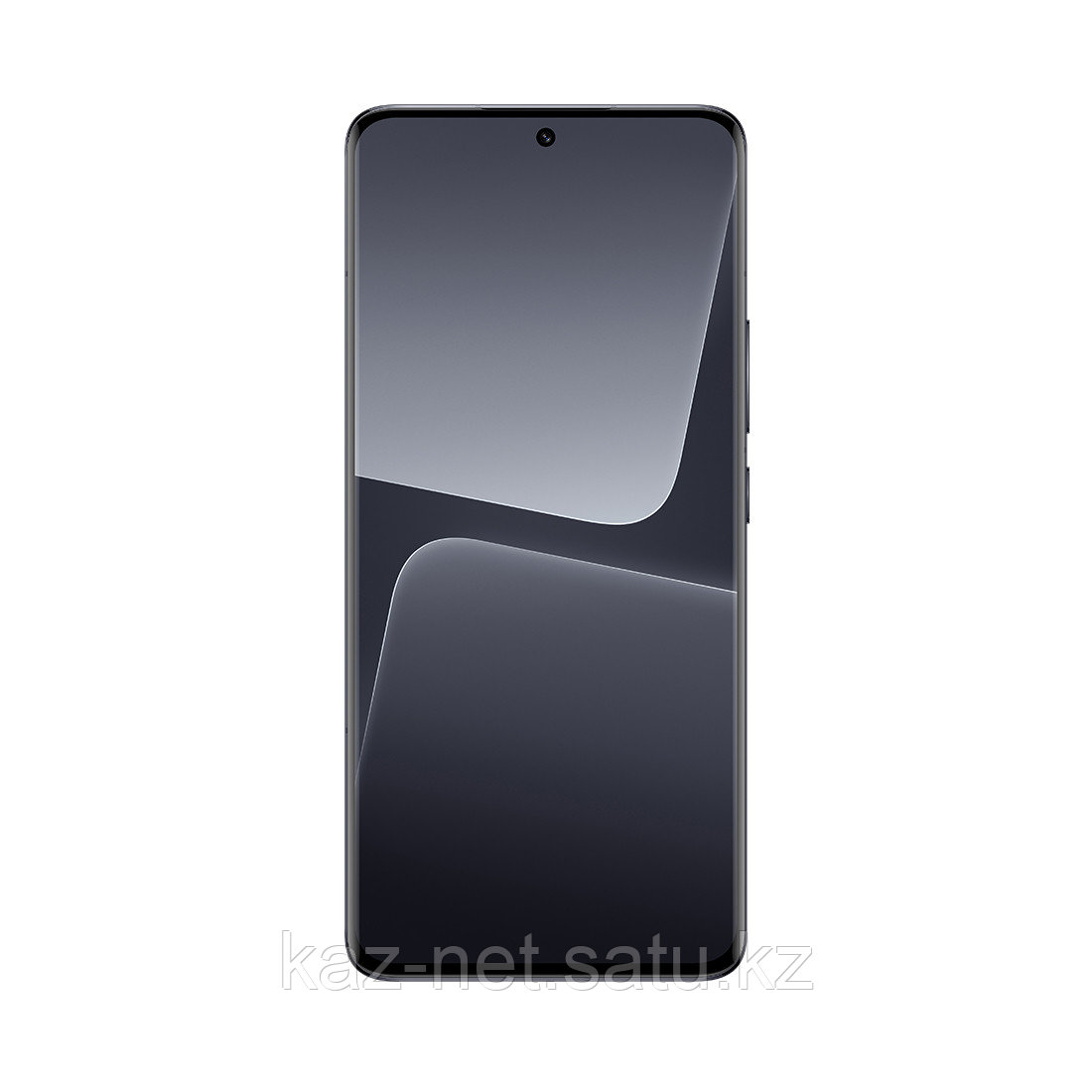 Мобильный телефон Xiaomi 13 Pro 12GB RAM 512GB ROM Ceramic Black - фото 1 - id-p112797504