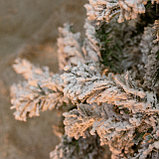 Заснеженная елка с напылением Rubens 210 см, фото 3