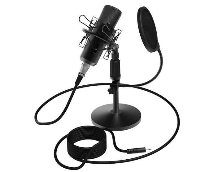 Микрофон RITMIX RDM-175 Black