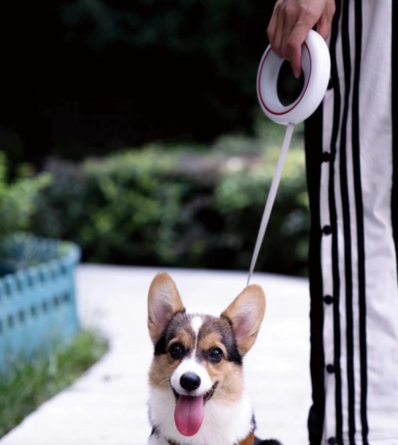 Поводок для собаки с фонариком Lite - фото 2 - id-p112879160