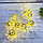 Гирлянда шарики 3 метра золотистая, фото 6