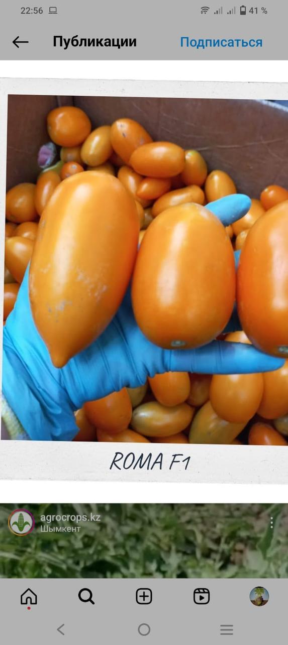 Семена желтого томата Рома F1 - фото 4 - id-p112883578