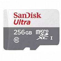 SanDisk SDSQUNR-256G-GN3MN флеш (flash) карты (SDSQUNR-256G-GN3MN)