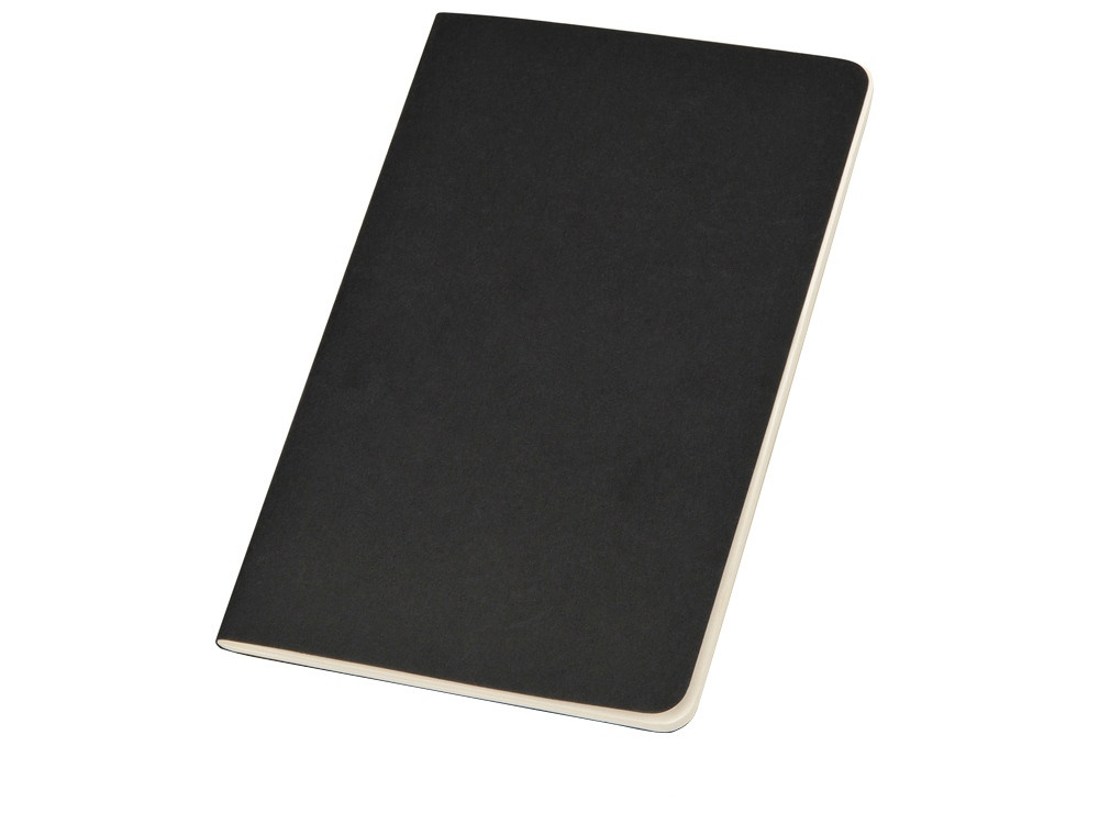 Записная книжка Moleskine Cahier (в клетку, 1 шт.), Large (13х21см), черный - фото 1 - id-p112913272