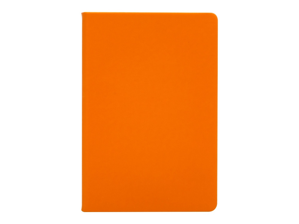 Бизнес-блокнот С3 софт-тач с магнитом, твердая обложка, 128 листов, оранжевый - фото 2 - id-p112918449
