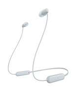 Sony WIC100W.E