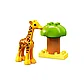 LEGO Duplo Wild Animals of Africa 10971, фото 3