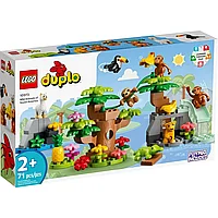 LEGO Duplo Wild Animals of South America 10973