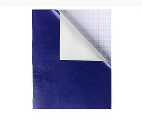 Тетрадь общая , А5, 48 листов в клетку, обложка бумвинил