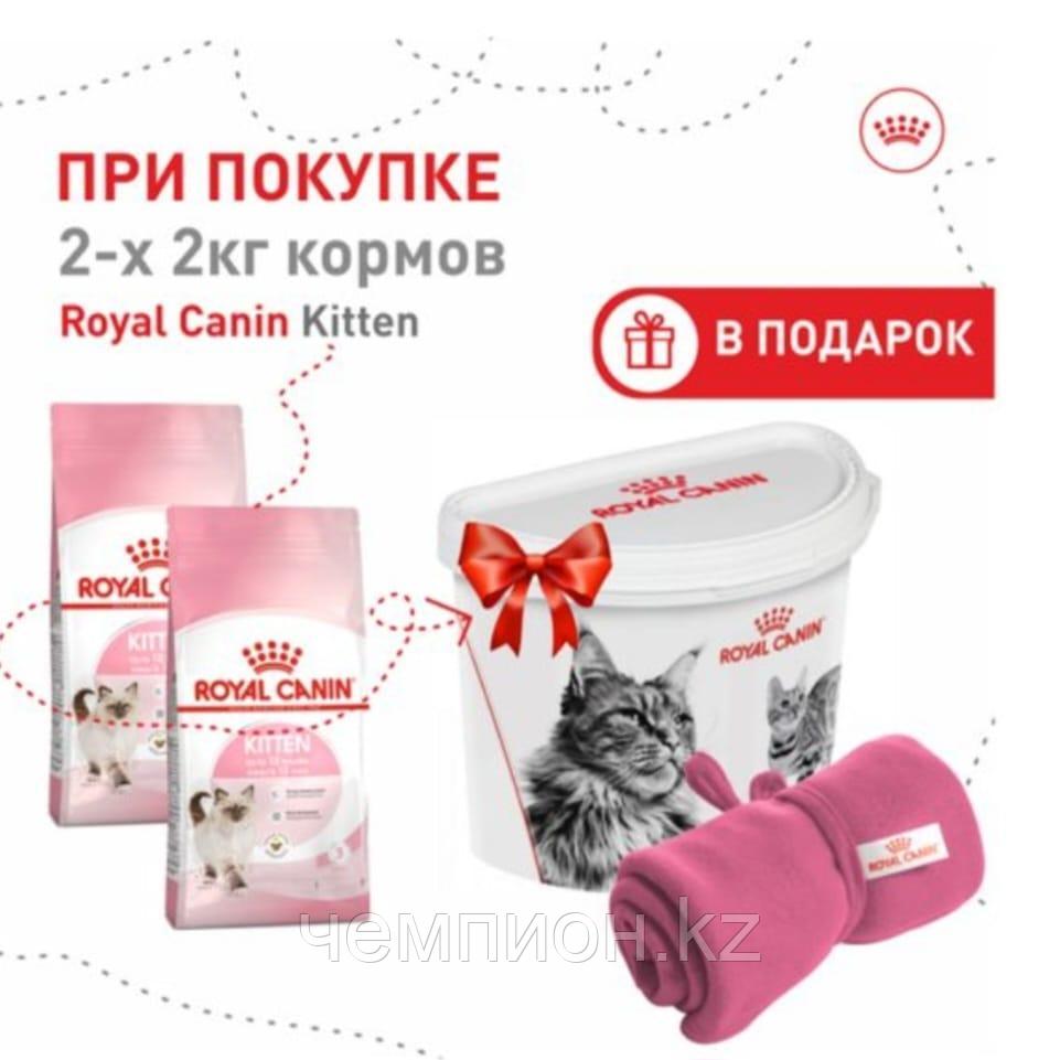 Акция ROYAL CANIN Kitten36, Роял Канин Киттен, корм для котят от 4-х мес, уп.2шт. х 2 кг. + подарок