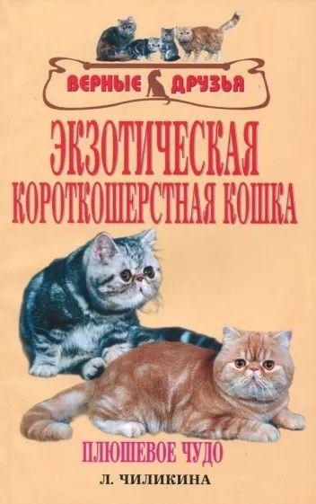 Литература Кошки Экзотическая короткошерстная (Чиликина)