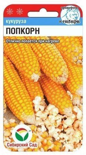 Кукуруза Попкорн 10 шт /СибСад/